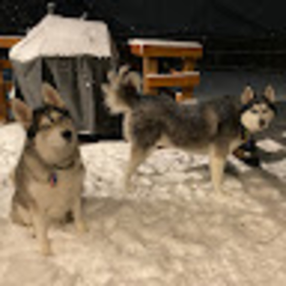 Meet your Posher, Teresa